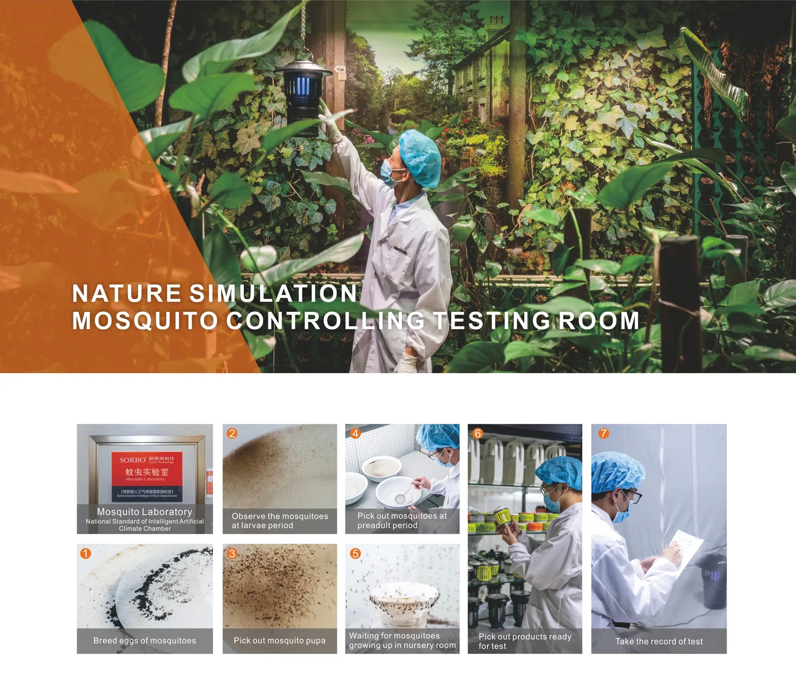 Simulated outdoor mosquito testing space at the SORBO facility